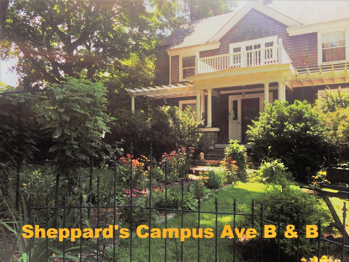 Sheppard'S Campus B&B Kingston Bagian luar foto