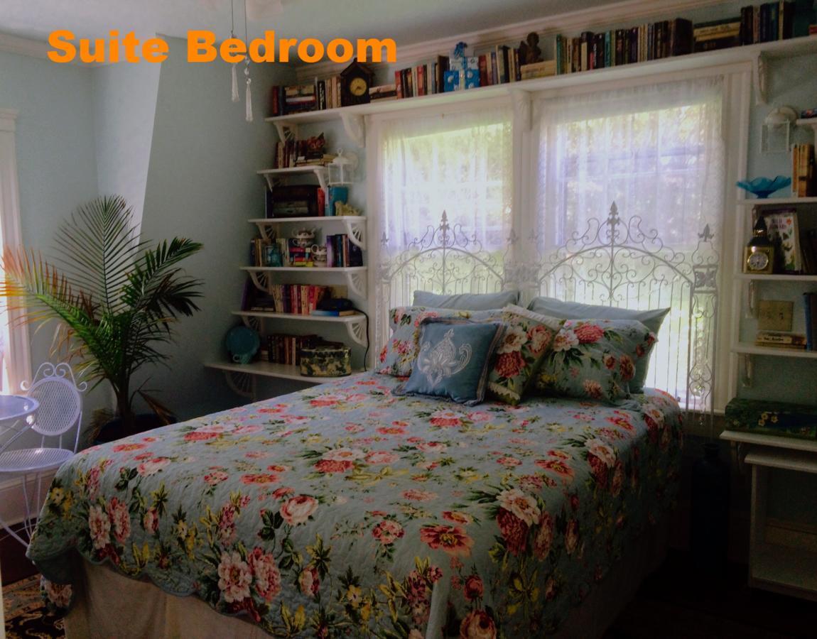 Sheppard'S Campus B&B Kingston Bagian luar foto